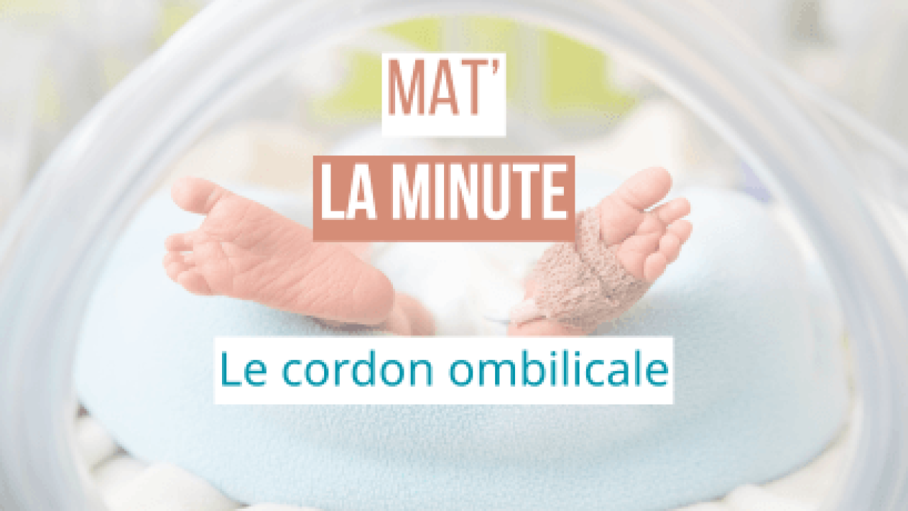 Le cordon ombilicale